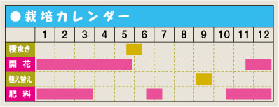 栽培カレンダー・プリムラ