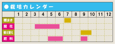 栽培カレンダー・シラー
