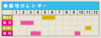 栽培カレンダー・フリージア