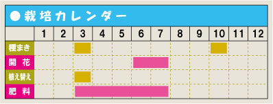 栽培カレンダー・アスチルべ