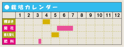 栽培カレンダー・ベロニカ