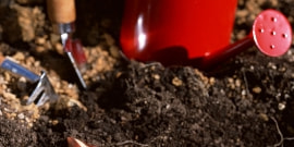 初心者の土作り