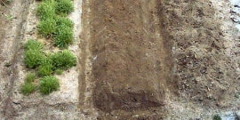 初心者の畝作り