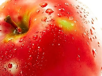 リンゴ・写真3
