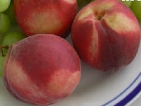 モモの実・写真3