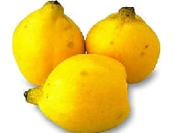 マルメロの実・写真3