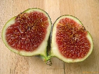 イチジクの実・写真3