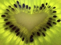 キウイフルーツの実・写真3