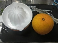 ナツミカンの実・写真3