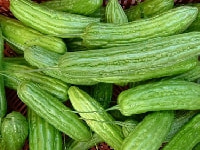 ニガウリ・写真3