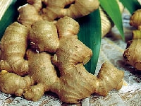 生姜・写真3