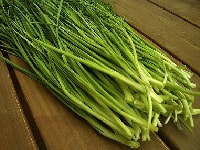 ニラ・写真3