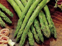 アスパラガス・写真2