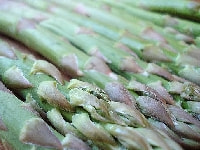 アスパラガス・写真3