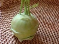 コールラビー・写真3