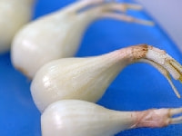 ラッキョウ・写真3