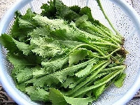 セリホン・写真3