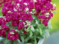 ストック・写真1