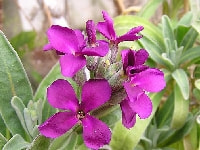 ストック・写真3